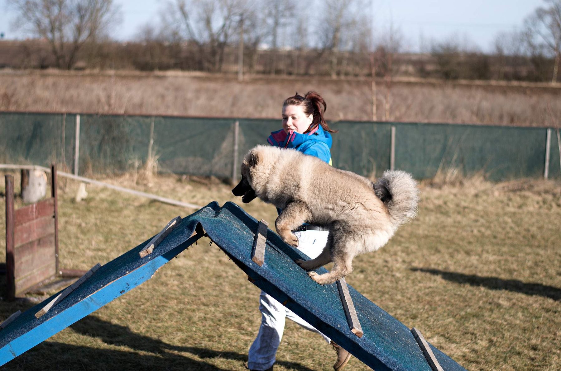 Výstavy a úspěchy