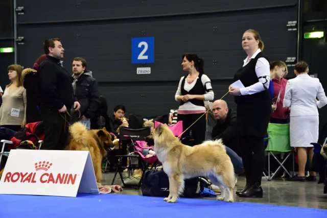 Mezinárodní Brno 2017