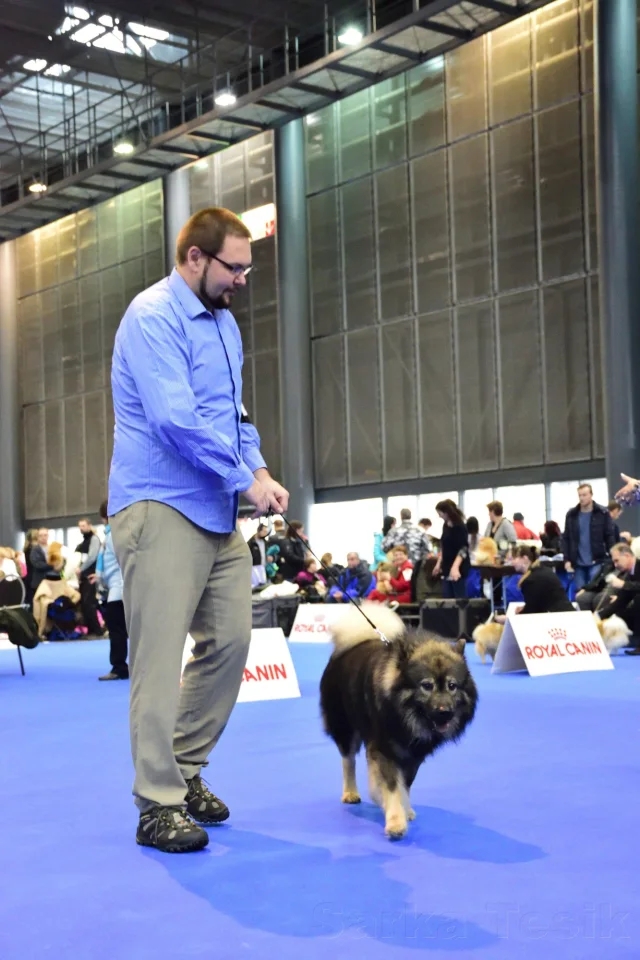 Mezinárodní Brno 2017