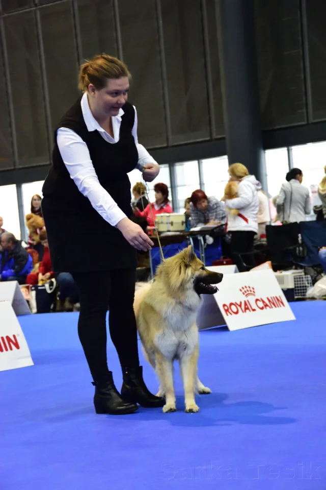 Mezinárodní Brno 2017