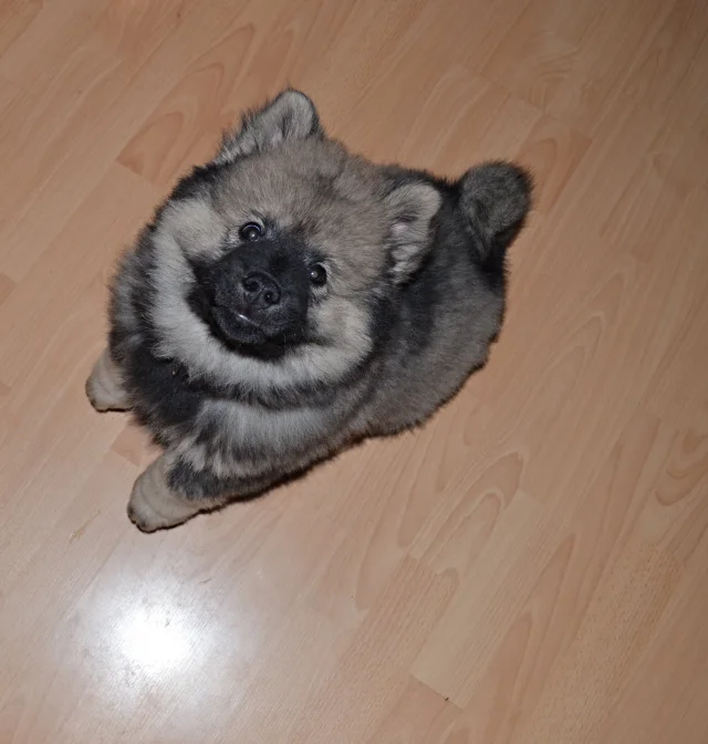 3 měsíc