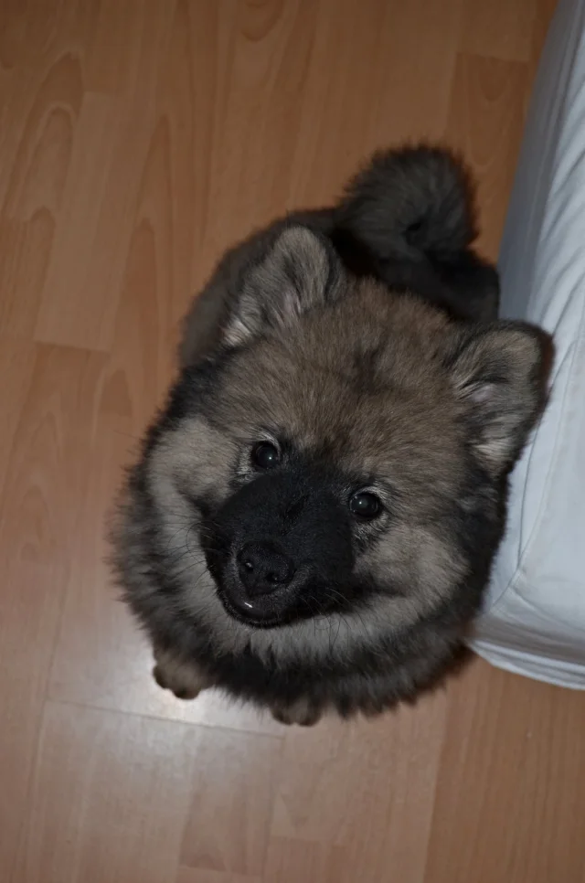 3 měsíc