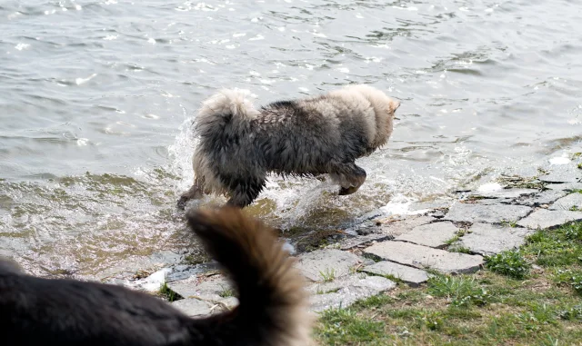 6 měsíců