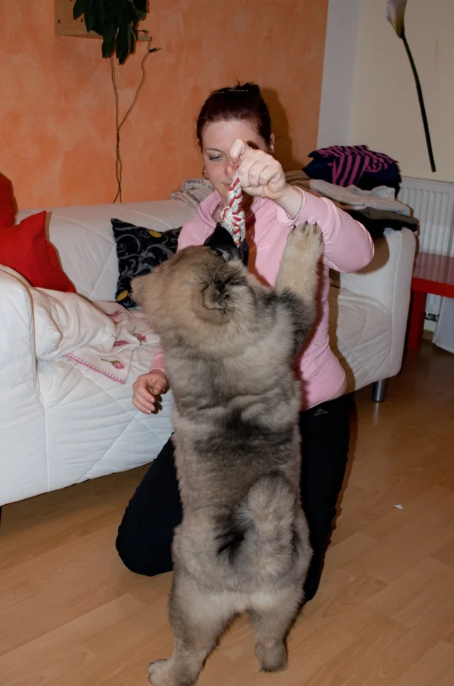 3 měsíc