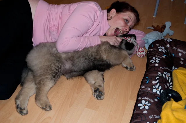3 měsíc