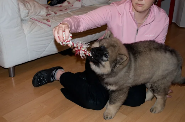 3 měsíc