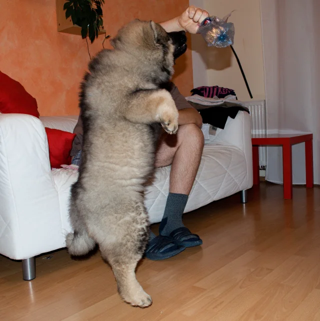 3 měsíc