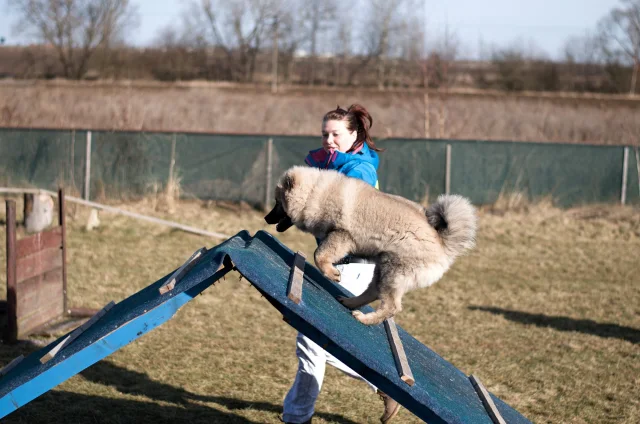 5 měsíc