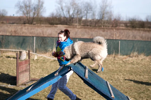 5 měsíc