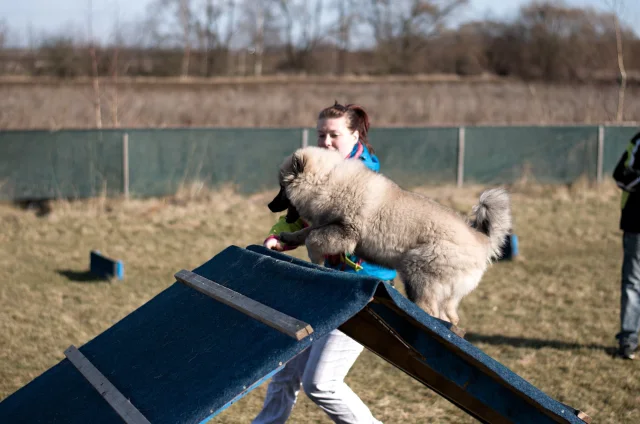 5 měsíc