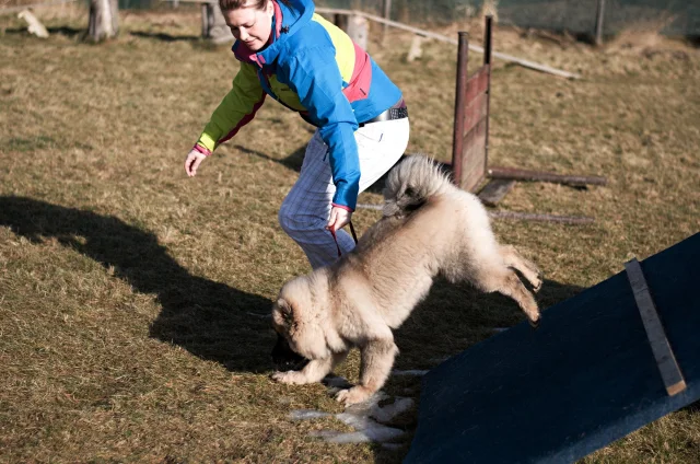 5 měsíc