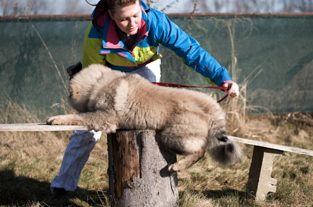 5 měsíc