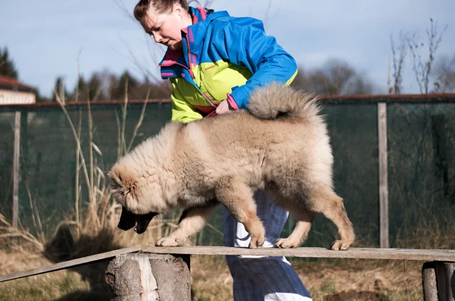 5 měsíc