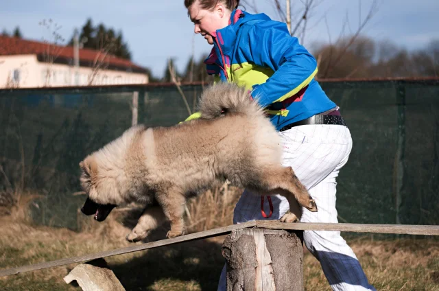 5 měsíc