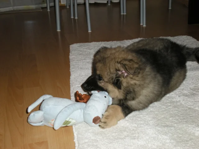 2 měsíc