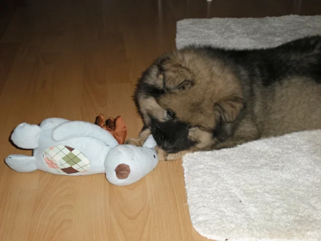 2 měsíc