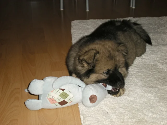 2 měsíc