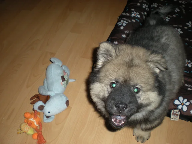 3 měsíc