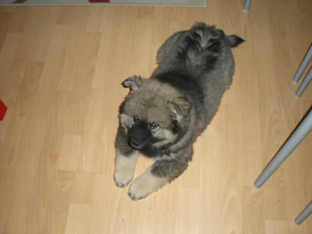3 měsíc