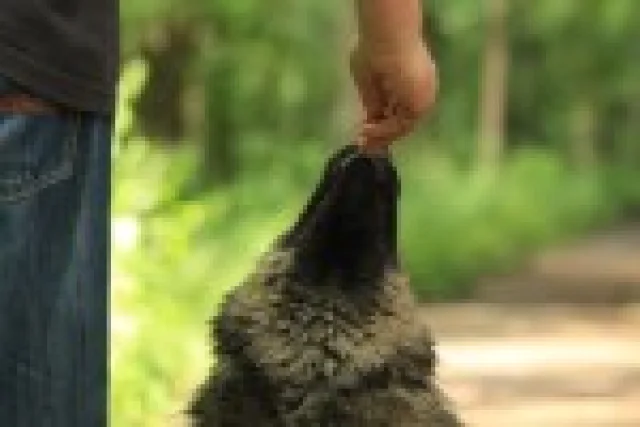 12 měsíc